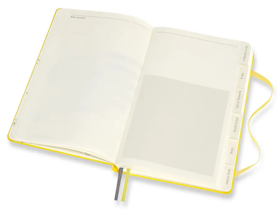 Рисунок 4 - Блокнот Moleskine Passion baby PASBABY