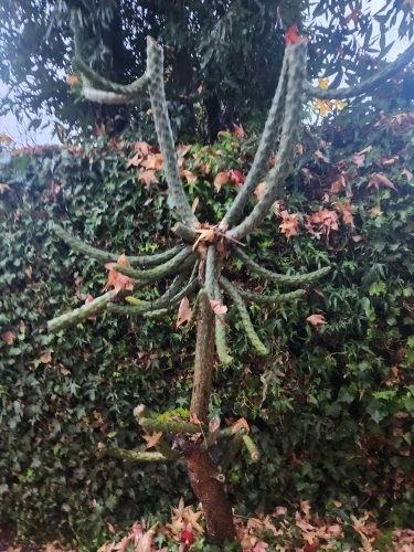 Luxe Cotton Linen Oversized Shirt with V-Neck for Spring Summer photo review