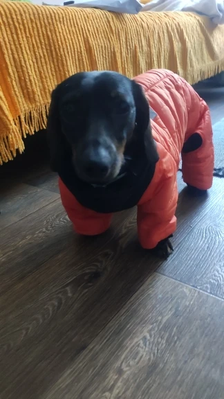 «HOOKLOOP» Orange Winter Jacket