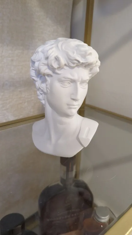 Timeless Masterpiece,15cm Miniature David Statue Head - Elegant Home Décor Sculpture photo review