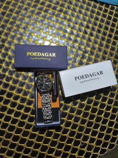 POEDAGAR Luxury Watch for Men photo review