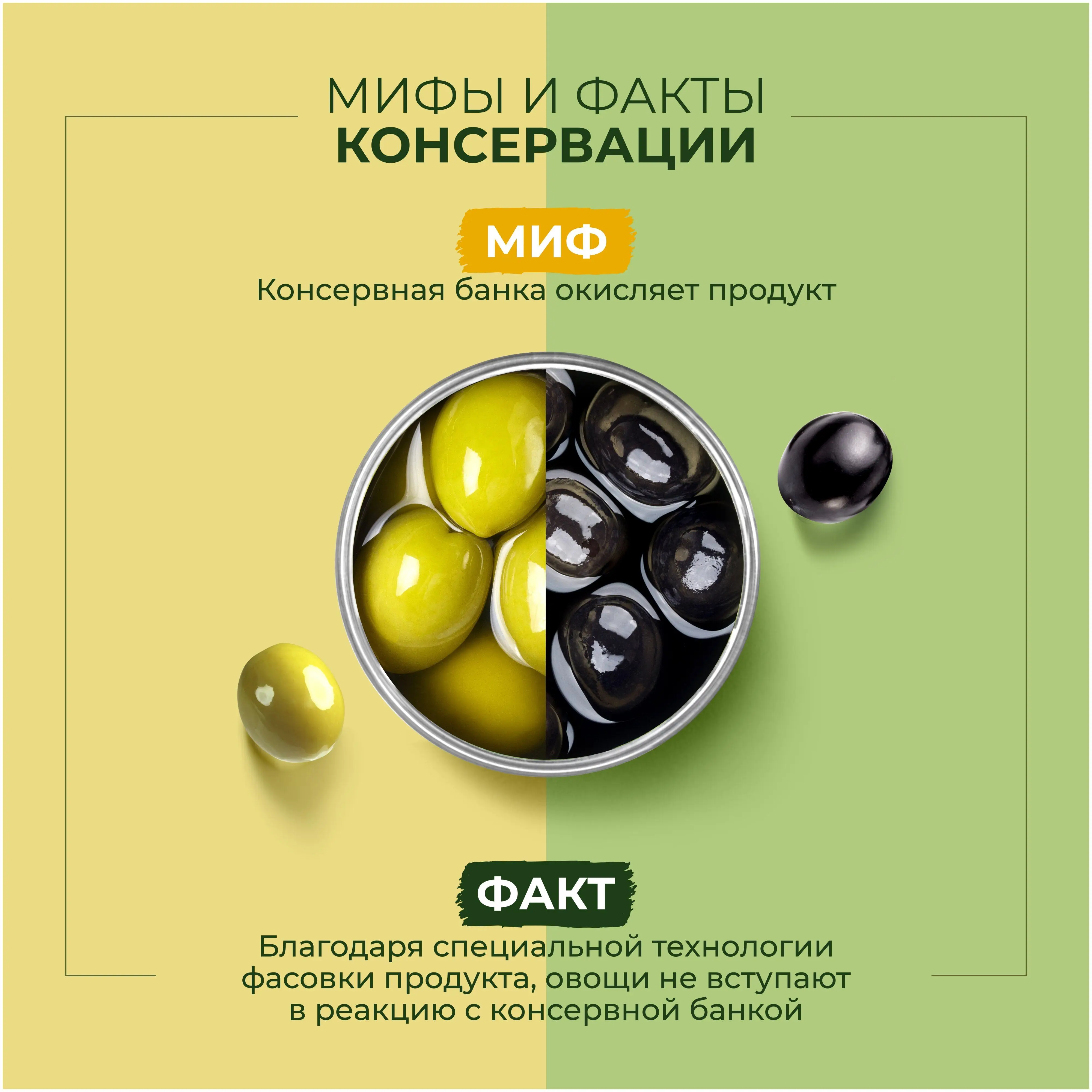 Рисунок 4 - Упаковка 12 банок Маслины Bonduelle