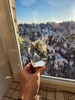 Изображение товара 3