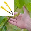 6.69inch Grape Pruning Clip Thinning Tool Handhled Fruits Grape Bud & Flower Thinning Clip for Farm Gardening Plant Hand Pruner