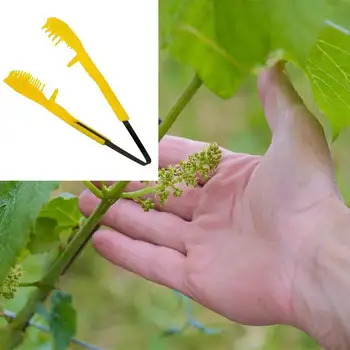 6.69inch Grape Pruning Clip Thinning Tool Handhled Fruits Grape Bud & Flower Thinning Clip for Farm Gardening Plant Hand Pruner