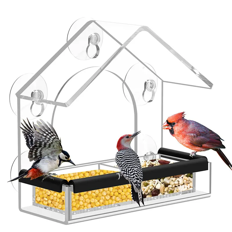 Grande mangeoire à oiseaux à fenêtre transparente avec ventouses solides à  suspendre en plexiglas transparent avec trous de drainage : :  Jardin