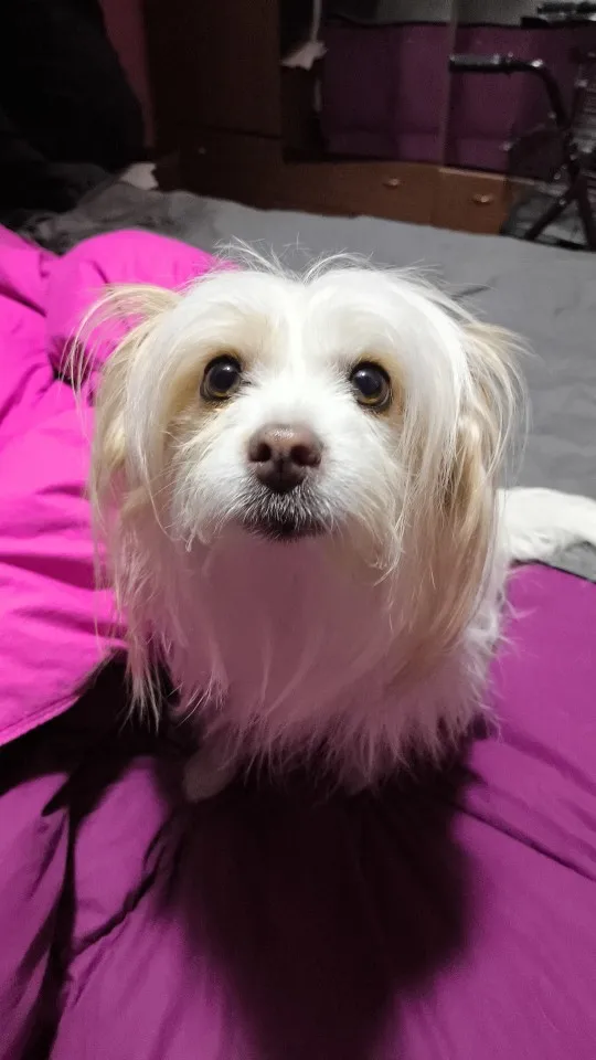 JK Cardigan Sweater photo review