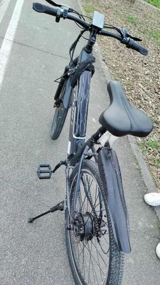 DEEPOWER 750W Motor Electric Bike 48V 7.8Ah Battery Adult Ebike LED Display City Commuter Electric Bicycle for Men Women Ebike photo review