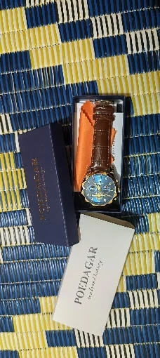 POEDAGAR Luxury Watch for Men photo review