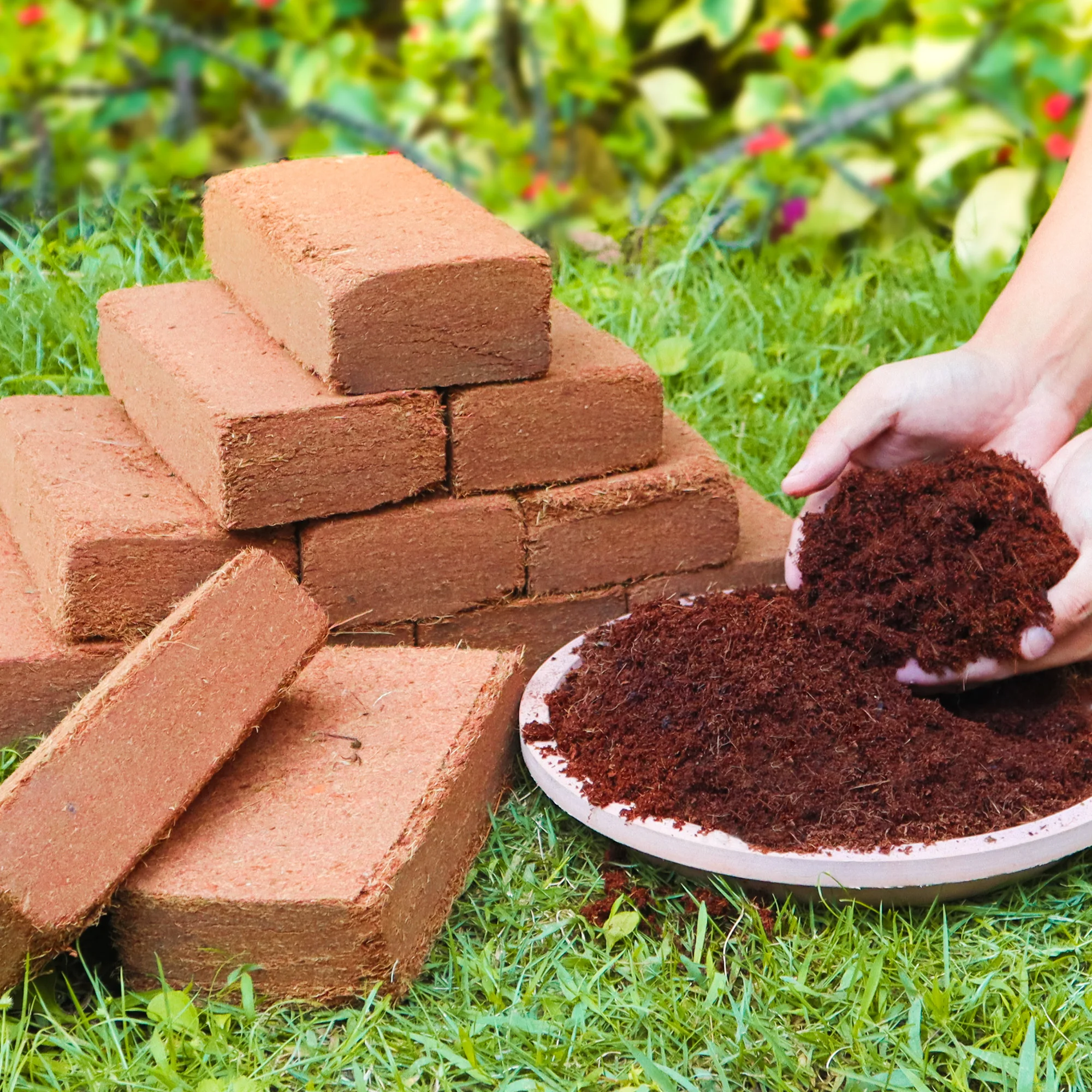 12pcs Coco Coir Brick for Plants- Premium 100% Organic Peat Moss, Fiber Coconut Husk for Planting, Gardening