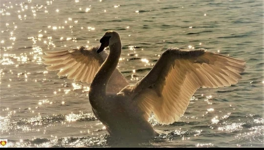 Nahtlose Thermo-Socken für ultimativen Winterkomfort photo review