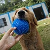 1PCS Soundmaking Toy Soft Sting Massage Elastic Ball Tooth Cleaning TPR Training Pet Teeth ChewingThorn Balls Pet Accessories 3