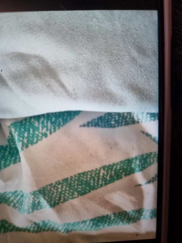 Juego de sábanas ligero, suave, fresco. Azul, Rosa, Gris, Verde. Juego de Cama 100% Microfibra tacto Satén. Cama de 150, 135, 90 y 105. Primavera, Verano. Dormitorio Elegante, Alegre, Colorido,Luz photo review