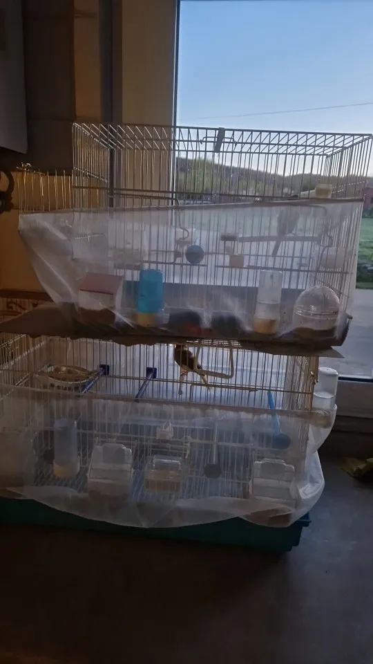 Cage Care, Stretchy Mesh Bird Cage Cover for Easy Cleaning and Guarding photo review