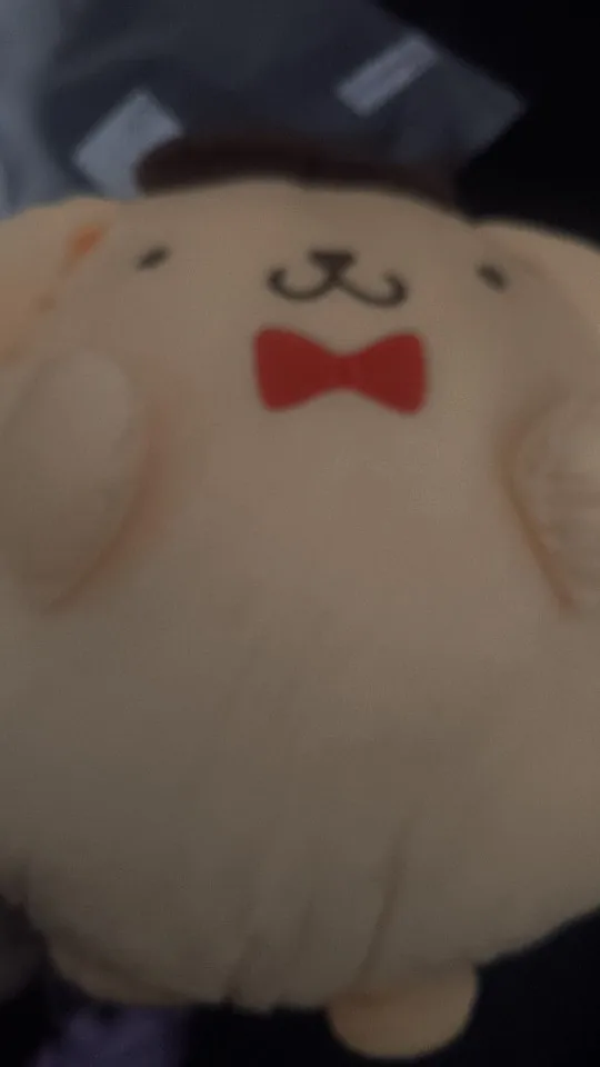 Chonky Purin Plushie photo review