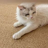 Imitation sisal cat scratching mat can be cut to size, non-slip, pineapple pattern, wear-resistant and scratching mat for cats 6