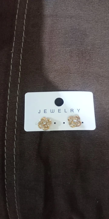 Light Luxury Zircon Stud Earrings photo review