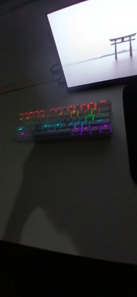 APAYADO K61 60% Wired Mechanical Keyboard RGB Backlit photo review