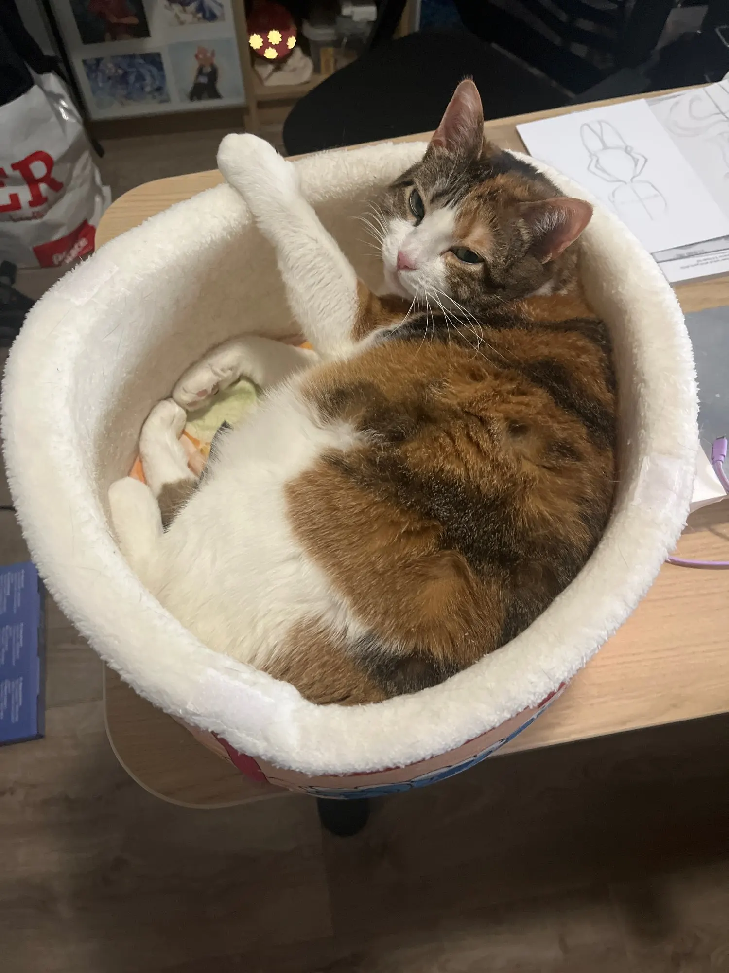 Pet Dog Cat House Kennel Super Large Instant Noodle Warm Dog Cat Nest Beds Cushion Cup Cozy Nest photo review