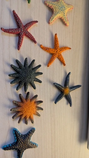 Diving Pool Toys Colorful Starfish Underwater Pool Toys Soft Rubber Dive Throw for Kids Summer Swimming Pool Party Favors photo review
