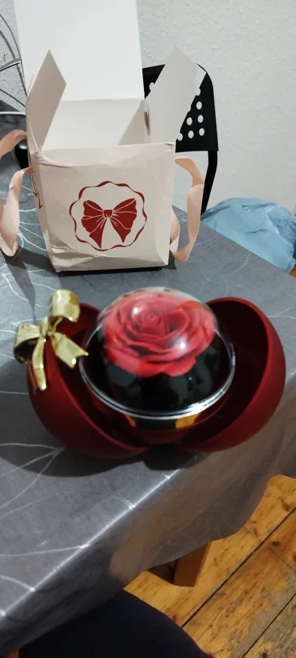 Rosen-Geschenkbox mit „Ich liebe Dich“-Kette & Schmuckfach