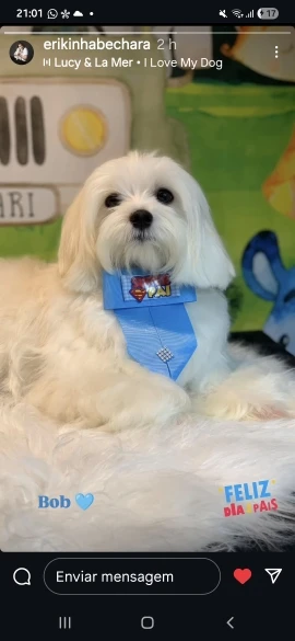 Ferramenta de Medição 4 em 1 - Nível Laser photo review