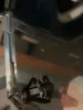Изображение товара 3