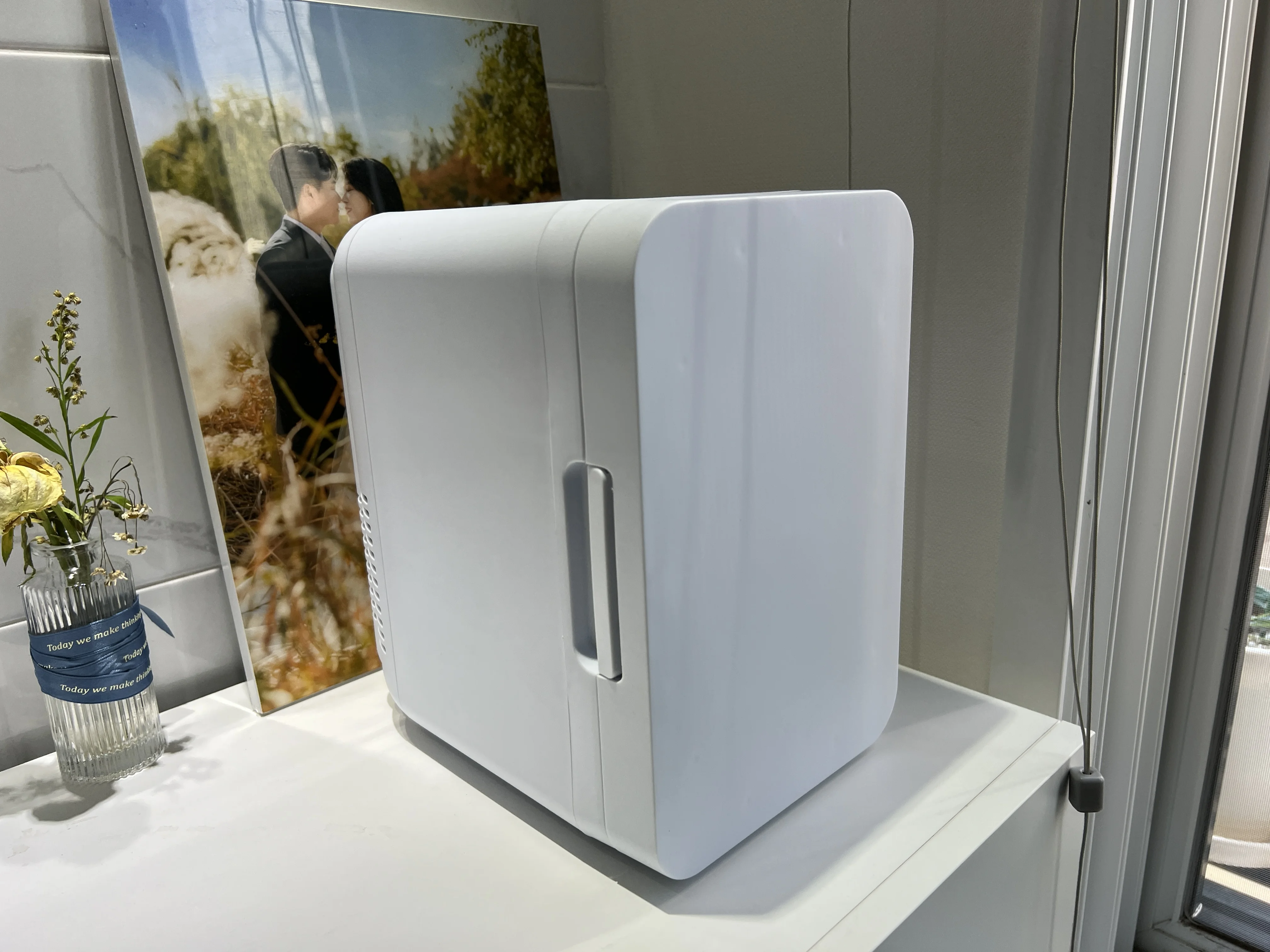 Mini Refrigerator Portable Cooler photo review