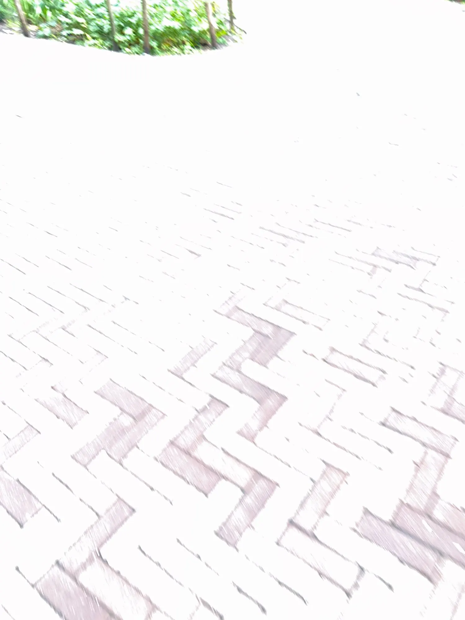 Elegant Off-Shoulder Yoga Top for Women - Quick-Dry Activewear photo review