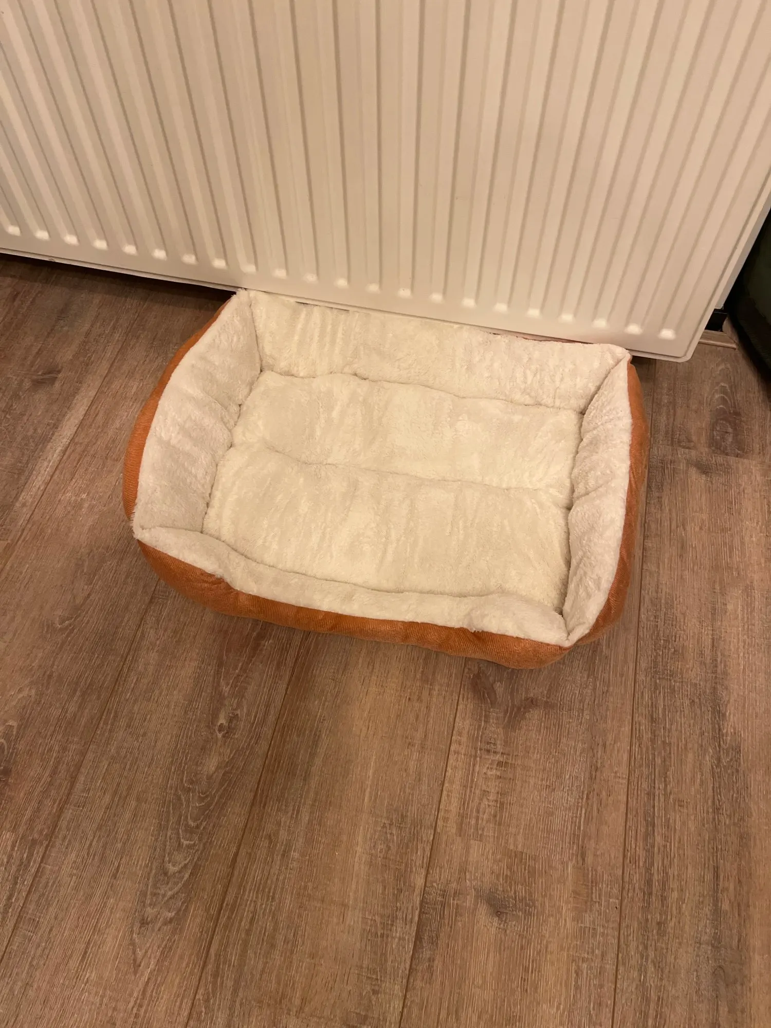 Bed for Cats Pet Products Cushions Kitten Goods Accessories Dog All Houses Supplies Things Accessory Habitats Basket House Beds photo review