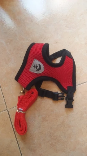 Summer Cat Dog Harness Lead Leash Adjustable Vest Polyester Mesh photo review