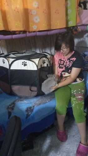 Pet Haven, Portable Folding Pet Bed House for Indoor and Outdoor Fun photo review