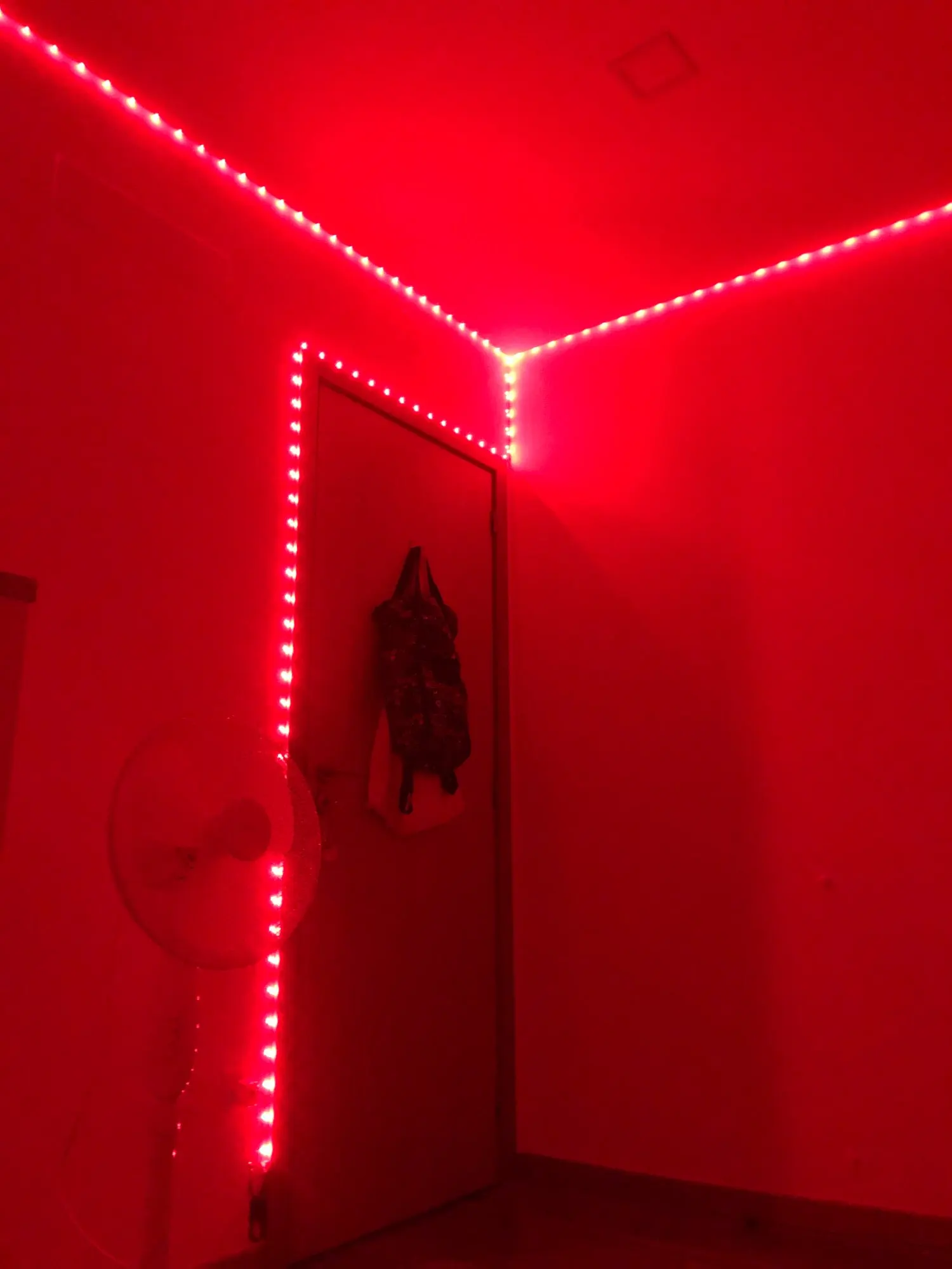 Led Strip Lights Music Sync Led Lights Room with APP Control, Flexible Ribbon Tape Lights for Home Party Decor TV Backlight photo review