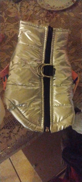 Pawfect Protection: Waterproof Winter Vest for Petite Pups photo review