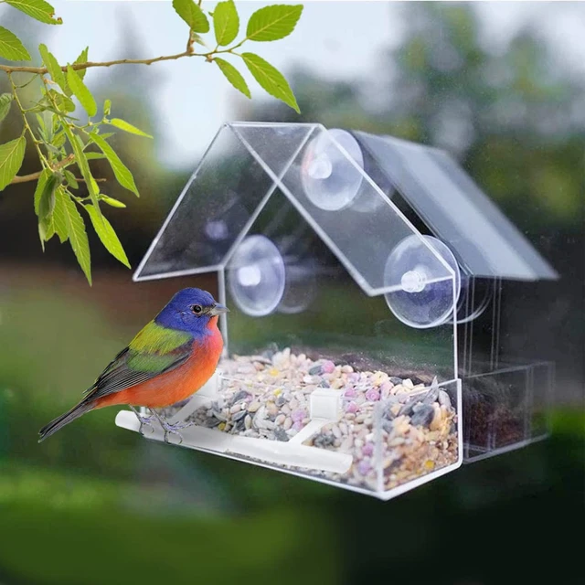 Mangeoire Transparent à oiseaux maison fenêtre distributeur de