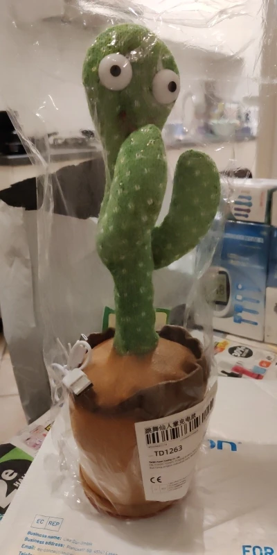 Intelligent Cactus Interactive Learning and Musical Toy for Kids to Dance Record and Speak with Fun photo review