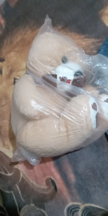 Teddy Bear With Scarf photo review