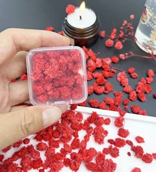 Artisan Dried Flowers for Crafting: Candle, Soap, and Nail Art Enhancements (Red)