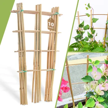10-Pack Bamboo Plant Trellis 1