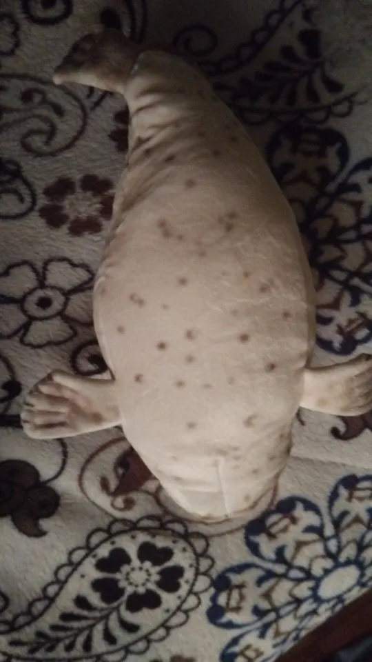 Foquinha Serena Fofeza® de Pelúcia