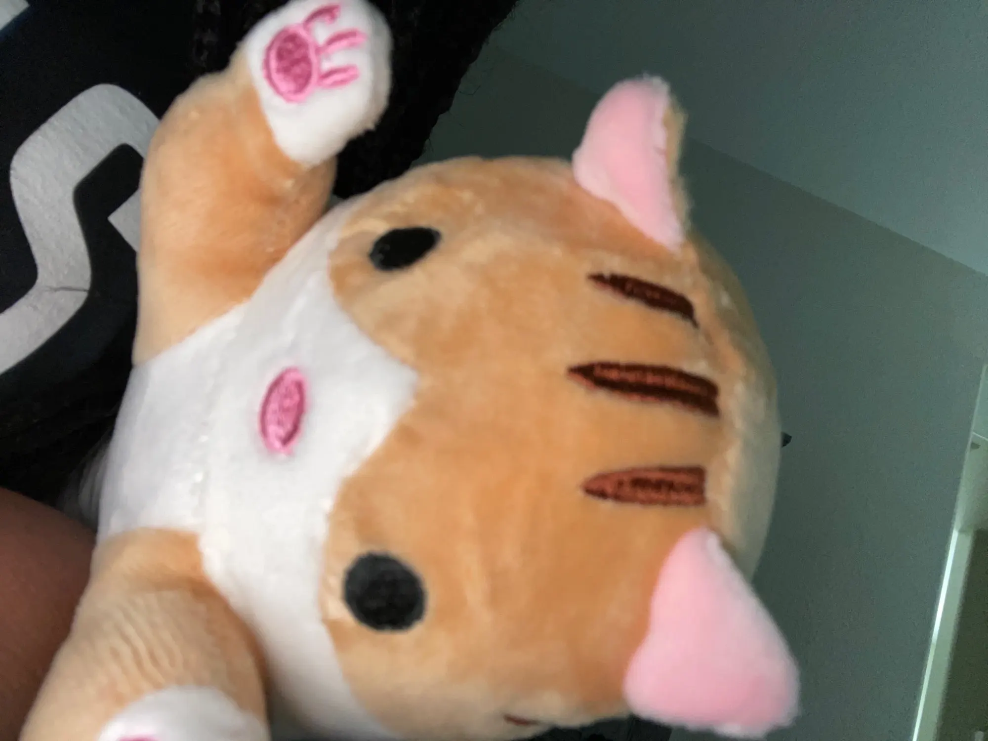 Long Cat Plushies photo review