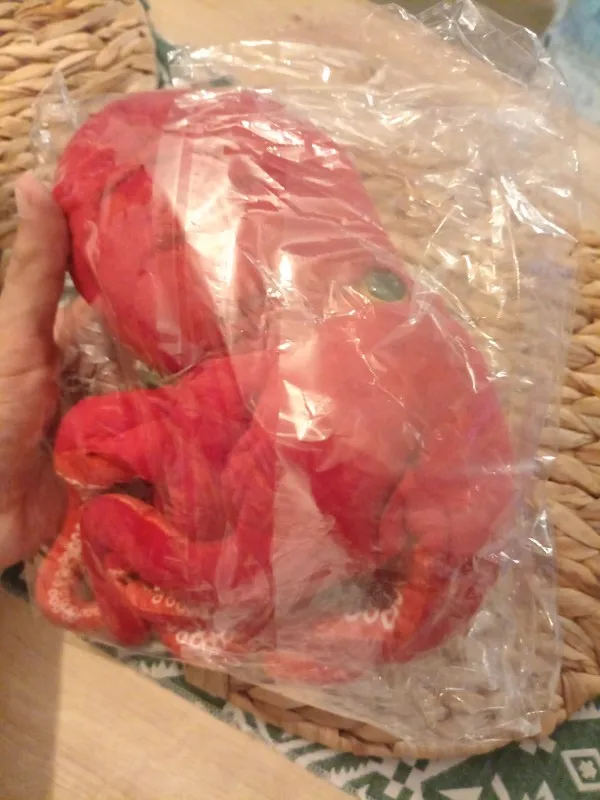 Polvo Gigante Fofeza® de Pelúcia