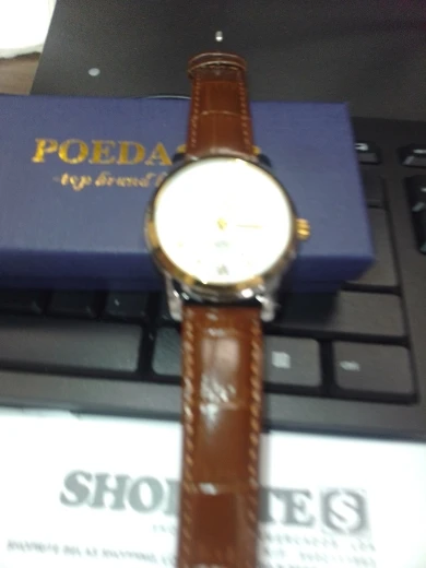 POEDAGAR Luxury Man Wristwatch photo review