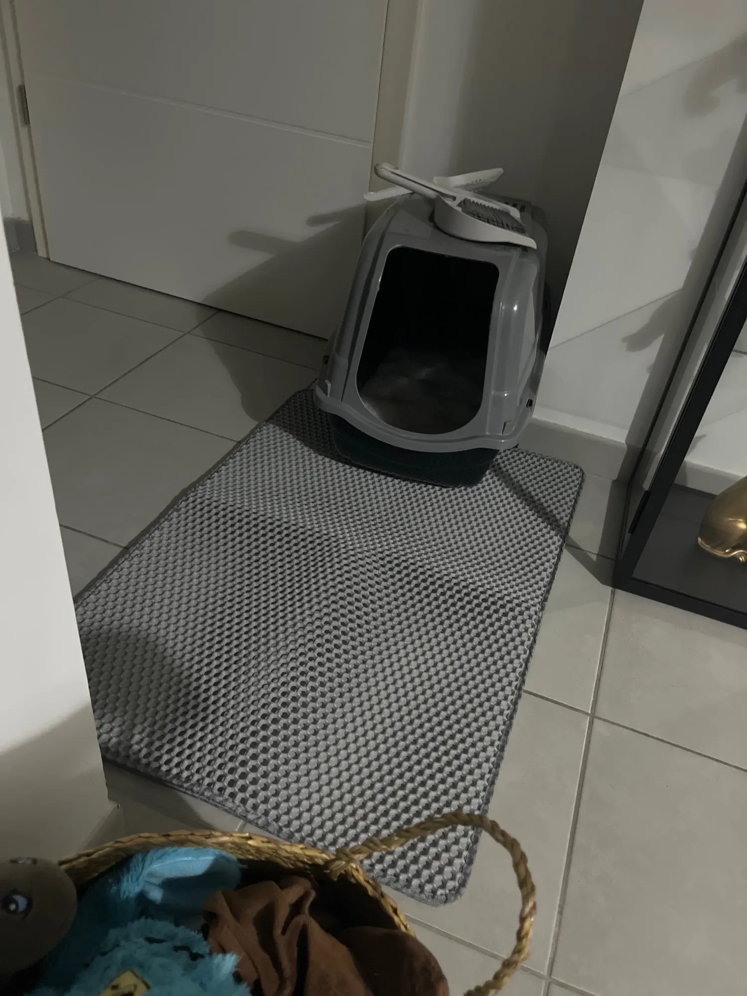 Cat Litter Mat Double Layer Waterproof Urine Proof Trapping Mat Easy to Clean Non-Slip Toilet Pad  Cat Scratch Pad Large Foot Pa photo review