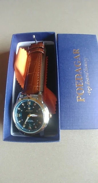 POEDAGAR Luxury Man Wristwatch photo review