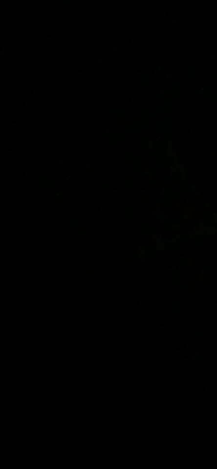 Silicone Food Toast Tongs Trivet Tongs for Kitchen Tongs photo review