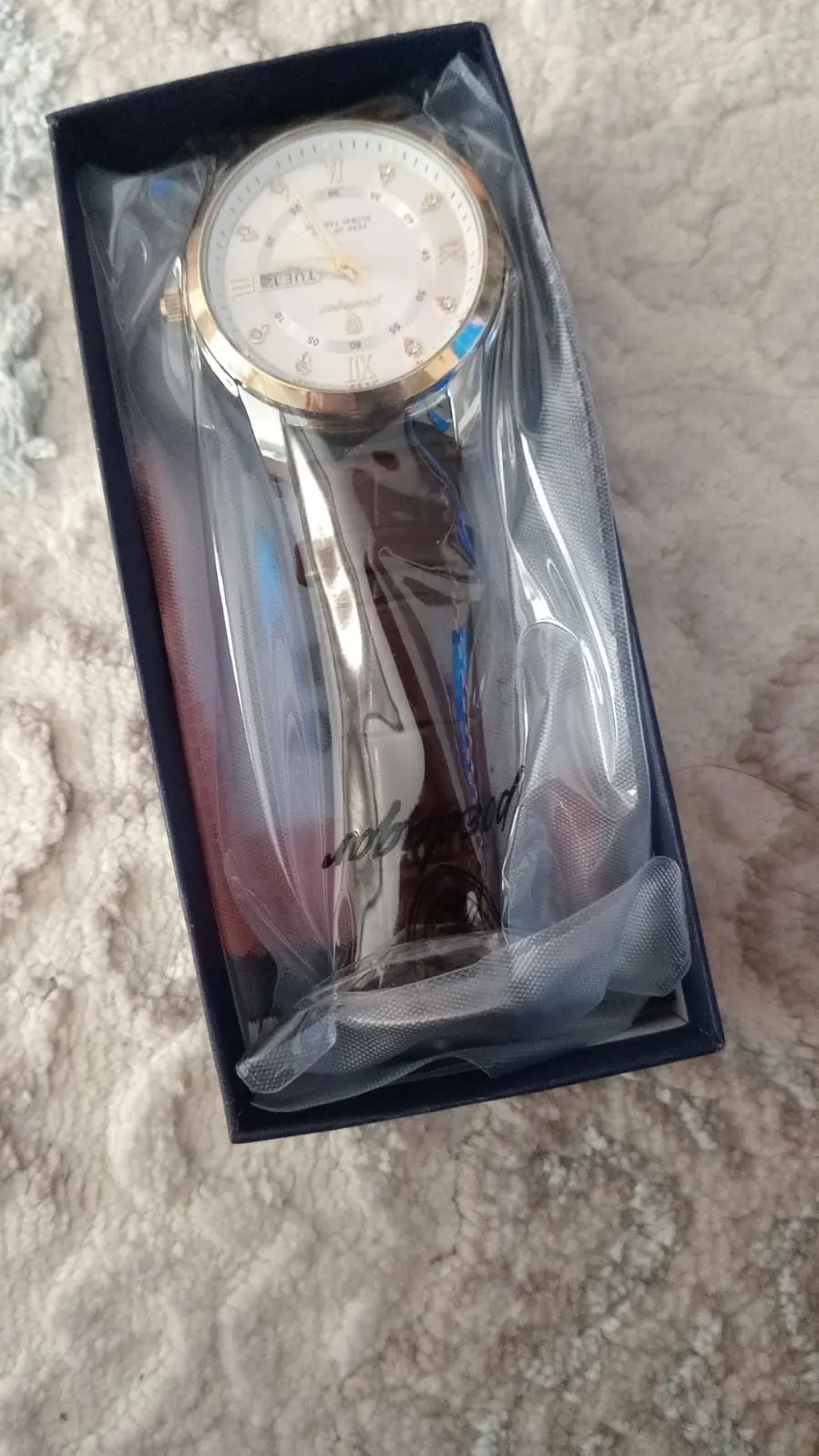 POEDAGAR Luxury Man Wristwatch photo review