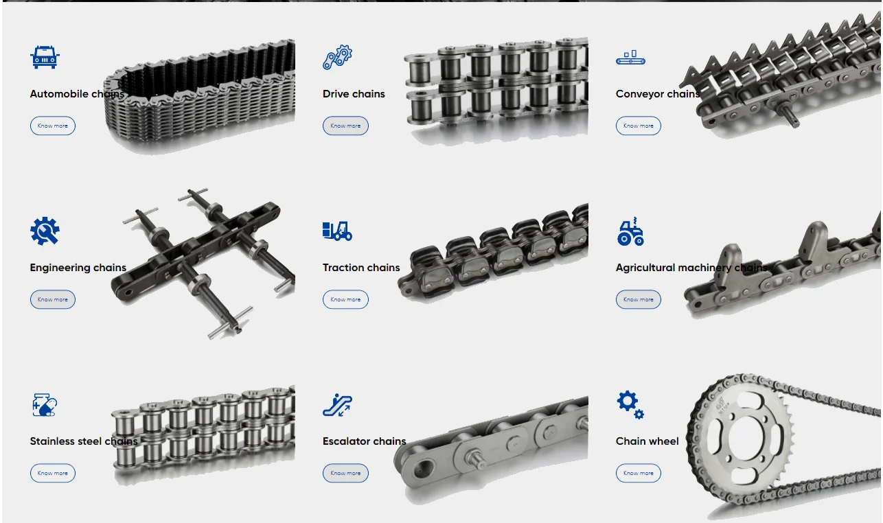 Description Picture 2 of itemDouble pitch Stainless Steel transmission chains