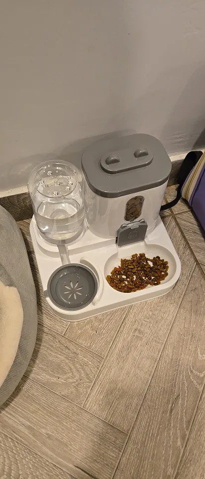 Automatic Feeder Dog Cat Food Bowl With Water Fountain Large Capacity Pet Food Storage Dispenser Container Puppy Pet Accessories photo review