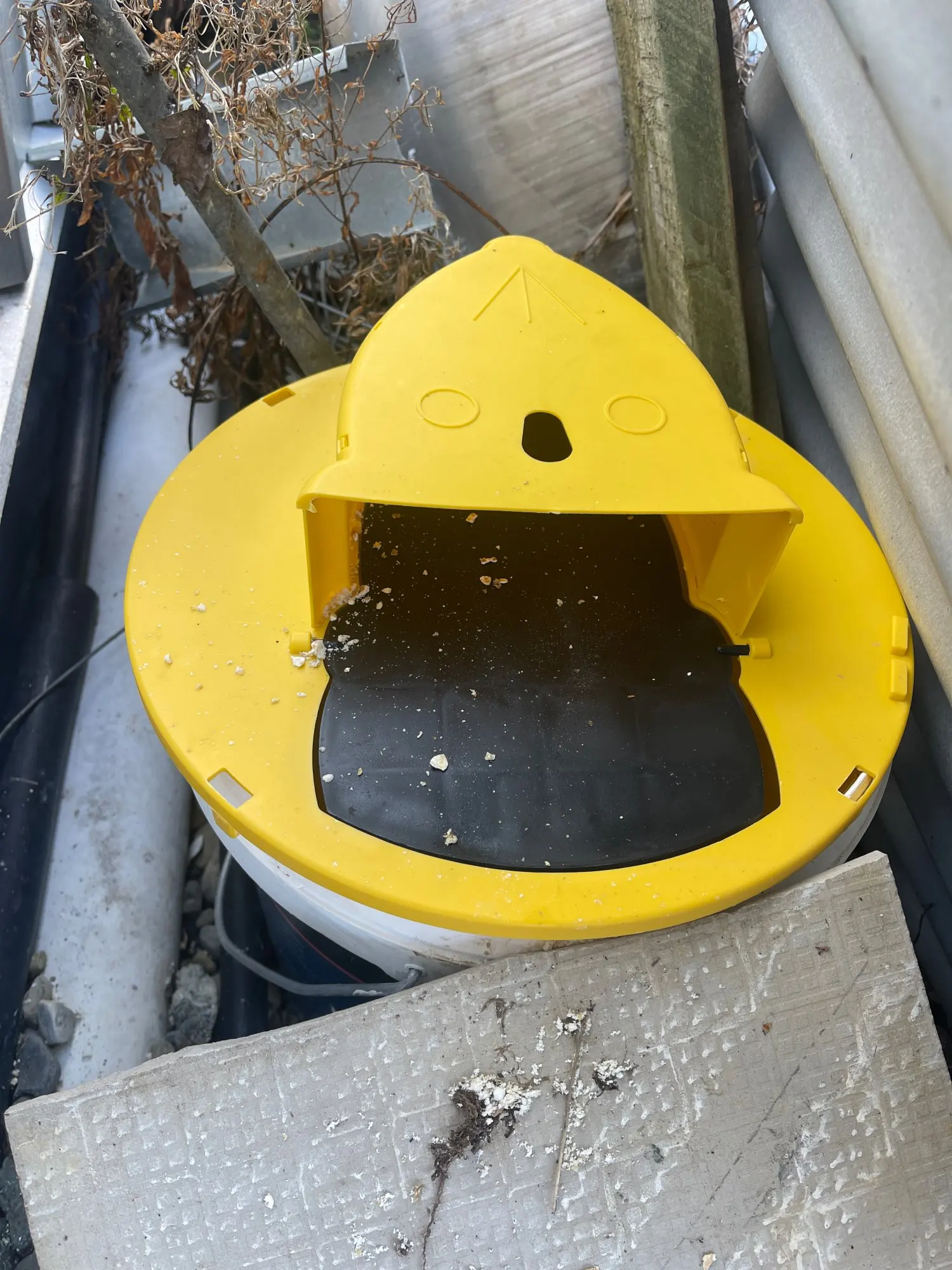 MultiCatch Mouse Trap: Humane & Lethal Mice Solution photo review